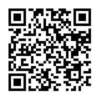 1743386225688099.png 图片6.png